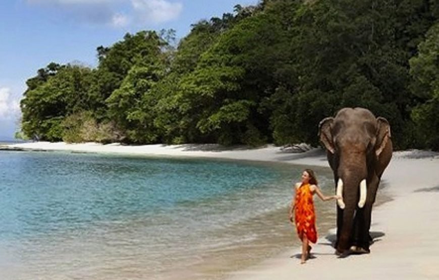 Kerala with Andaman Tour