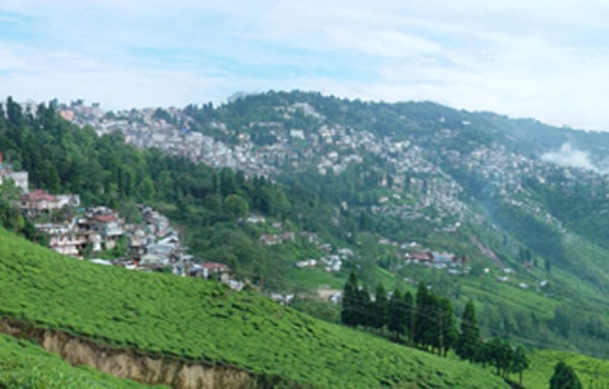 Golden Triangle With Tea Tour