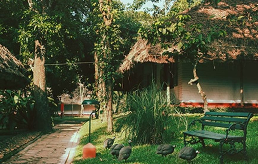 Spice Village – CGH Earth Kerala